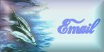 Email me 