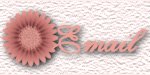 Email me