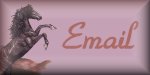 Email Me !