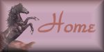My Home Page