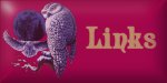 My links