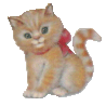 Image of kitty1f.gif