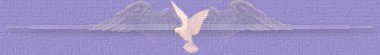 Image of angelwingsbar2.jpg