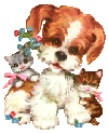 Image of dogcats2gif.gif