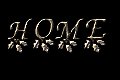 Image of x2home.jpg