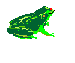 frog