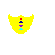 shield