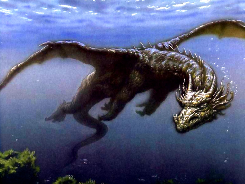 Underwater Companion