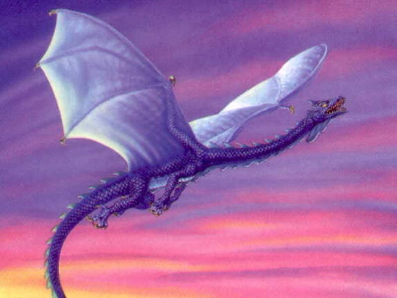 Soaring