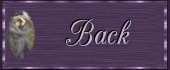 Back Button