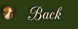 Back Button