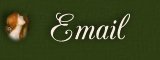 Email Me