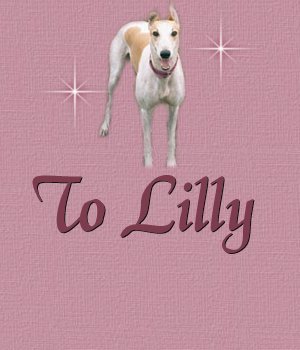 To Lilly Fair Banner