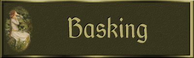 Basking Banner