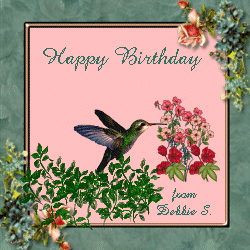 hummingbird