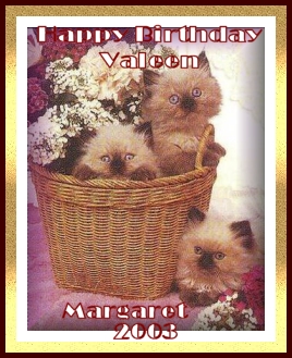 kittens in baskett