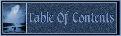 Tabe Of Contents Banner