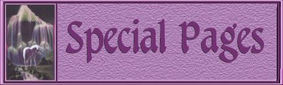 Special Pages Banner