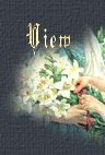 View My Guestbook!