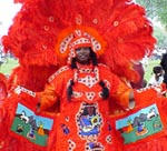 Mardi Gras Indian