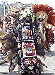 Mardi Gras Indian