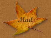 Send me an e-mail!