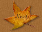 Thanksgiving Poetry 2