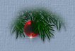 Christmas Ornament