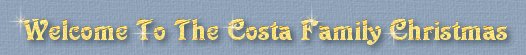 Welcome to The Costa Family Christmas!!