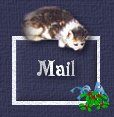 Send me an e-mail!