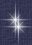 Twin Stars