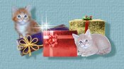 Christmas Gifts