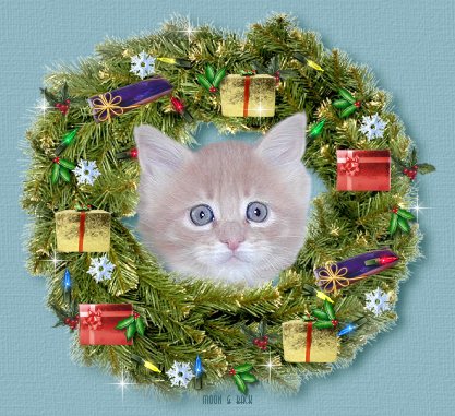 Merry Christmas!