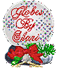 Xmas Globes by Shari Becker