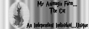What Kind Of Animagis Are You?