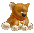 Ein from Cowboy Bebop