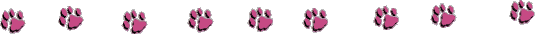 paw bar