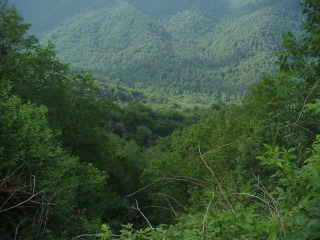MTS.jpg (9178 bytes)