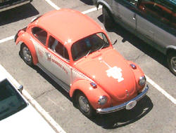 utbug.jpg (14172 bytes)