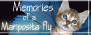 Blog de Kala