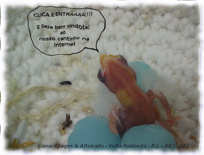 Esteja a vontade...