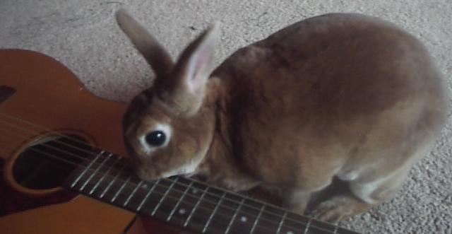 BeBe