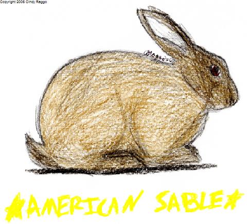 American Sable