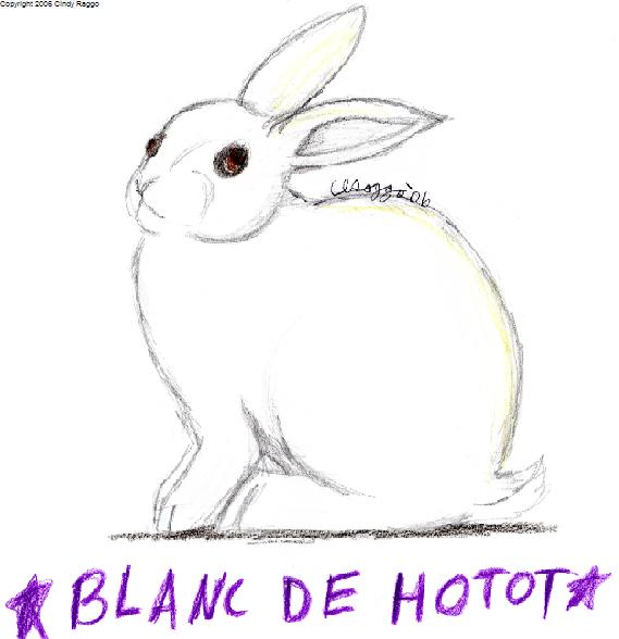 Blanc de Hotot