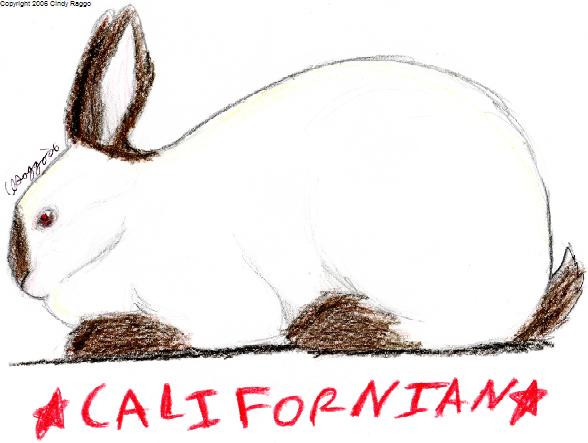 Californian