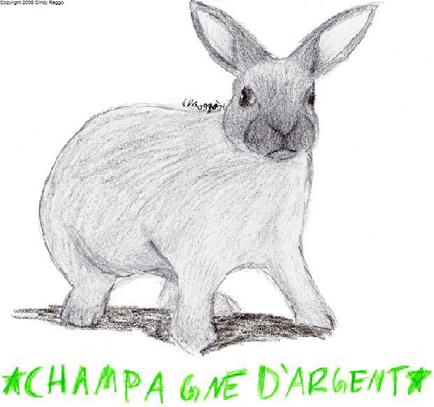 Champagne D'argent