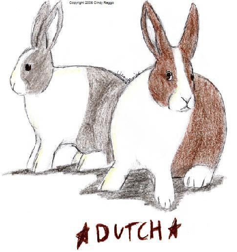 Dutch