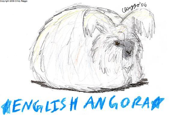 English Angora