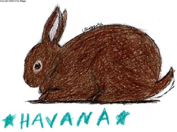 Havana
