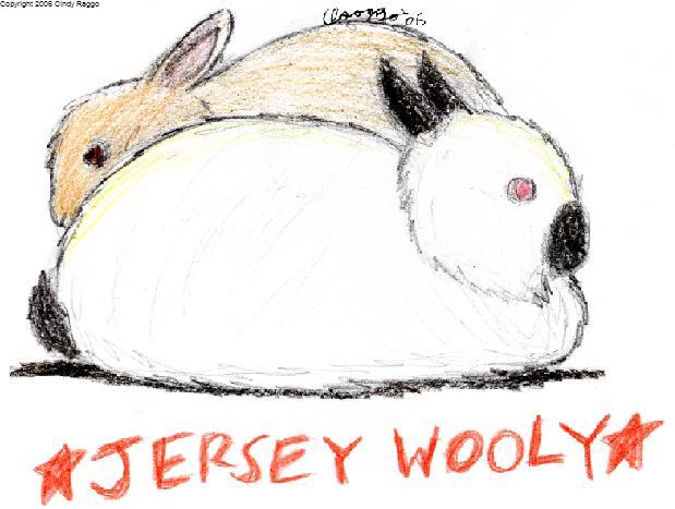 Jersey Wooly